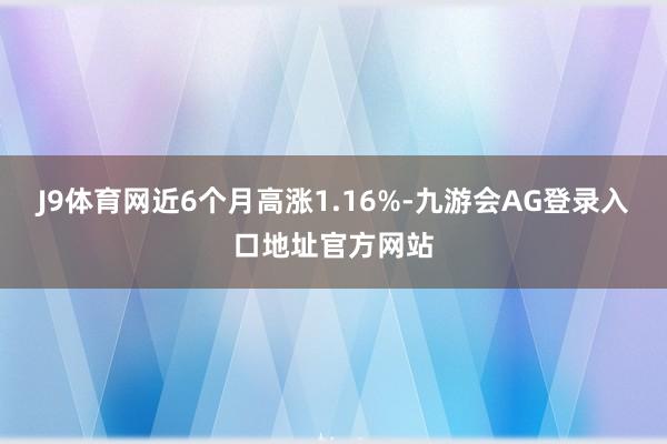 J9体育网近6个月高涨1.16%-九游会AG登录入口地址官方网站