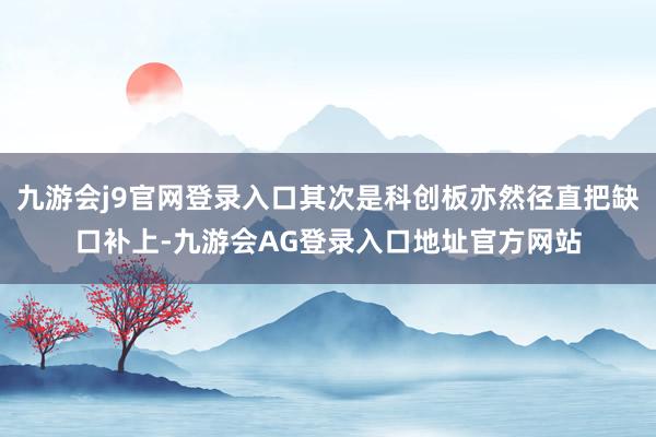 九游会j9官网登录入口其次是科创板亦然径直把缺口补上-九游会AG登录入口地址官方网站