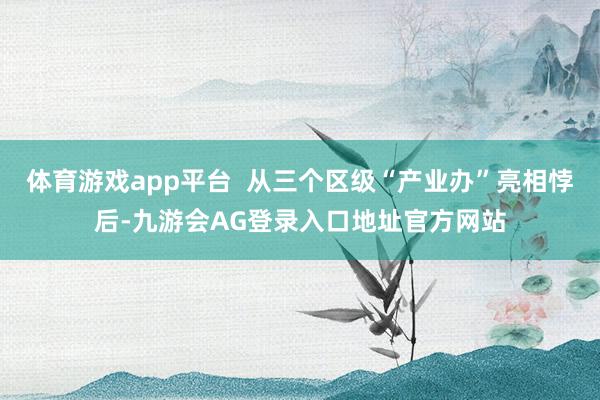 体育游戏app平台  从三个区级“产业办”亮相悖后-九游会AG登录入口地址官方网站